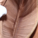 CELINE Macadam Canvas Hand Bag PVC Leather Brown Gold Auth 101152-23