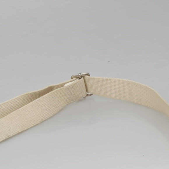 Christian Dior Trotter Canvas Shoulder Bag White Auth 103087V