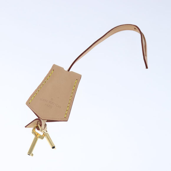 LOUIS VUITTON Monogram Camera box Shoulder Bag M10079 LV Auth 103096SM