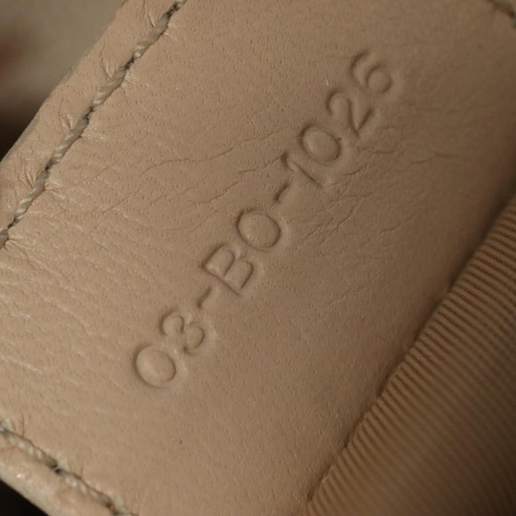 Christian Dior Trotter Canvas Romantic Shoulder Bag PVC Beige Silver Auth 105054