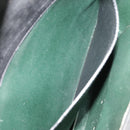 LOUIS VUITTON Epi Porte Documents Bandouliere Briefcase Black M54462 Auth 105325-21