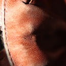 LOUIS VUITTON Monogram Amazon Shoulder Bag M45236 LV Auth 109007-12