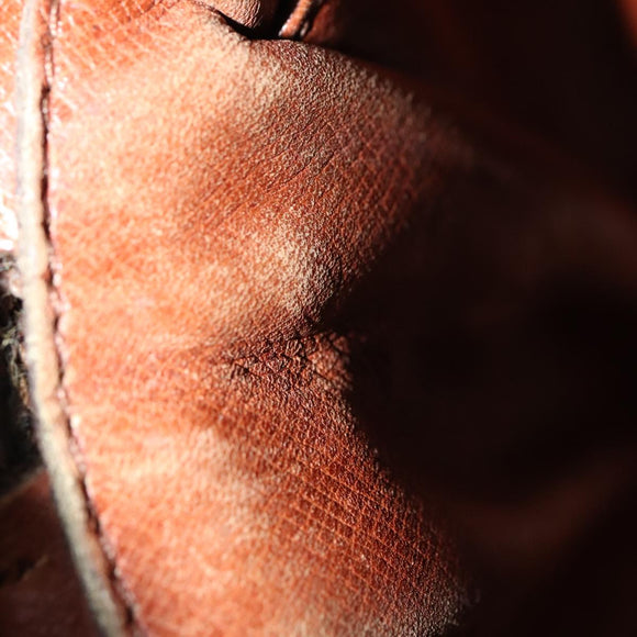 LOUIS VUITTON Monogram Amazon Shoulder Bag M45236 LV Auth 109007