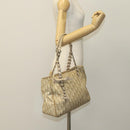 Christian Dior Trotter Canvas Trotter Romantic Bag PVC Beige Silver Auth 109778-22