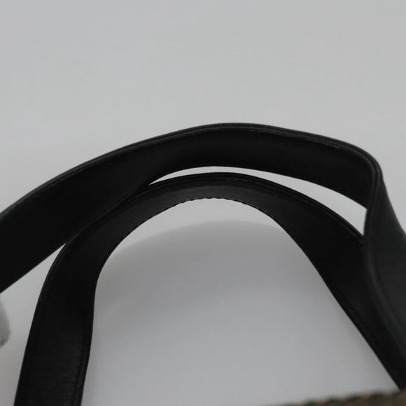 BURBERRY Nova Check Hand Bag Canvas Black Auth 110246