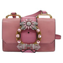 Miu Miu Shoulder Bag Leather Pink Auth 110296V-13
