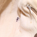 GUCCI Micro GG Supreme Web Sherry Line Shoulder Bag PVC Beige gold Auth 110383-25