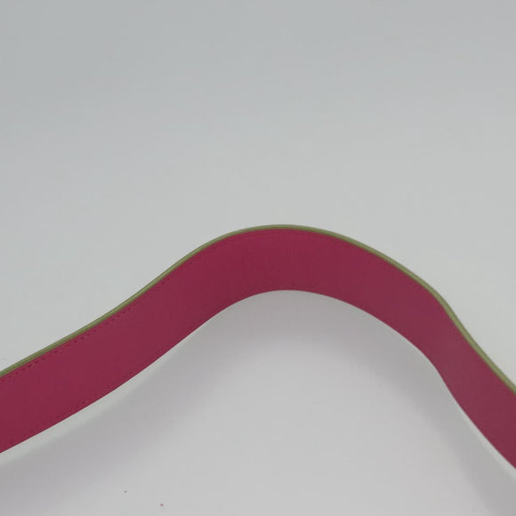 PRADA Watermelon Shoulder Bag Safiano leather Green Auth 113168V