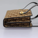 Christian Dior Trotter Canvas Hand Bag Brown Auth 113223-4