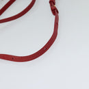 CELINE Trio Small Shoulder Bag Leather Red Gold Auth 113929-7