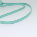 CELINE Triomphe Mini Claude Shoulder Bag Leather Light Blue Auth 114195AV-7