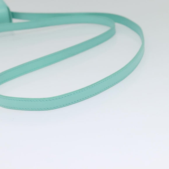 CELINE Triomphe Mini Claude Shoulder Bag Leather Light Blue Auth 114195AV