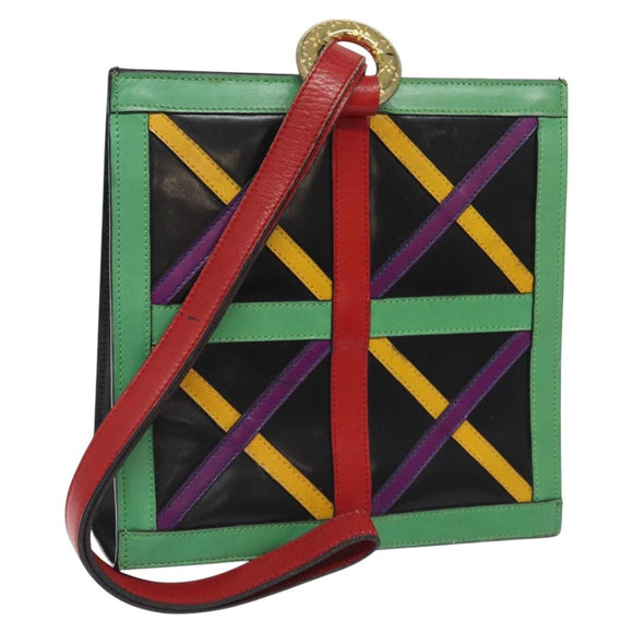 CELINE Shoulder Bag Leather Multicolor Auth 114456