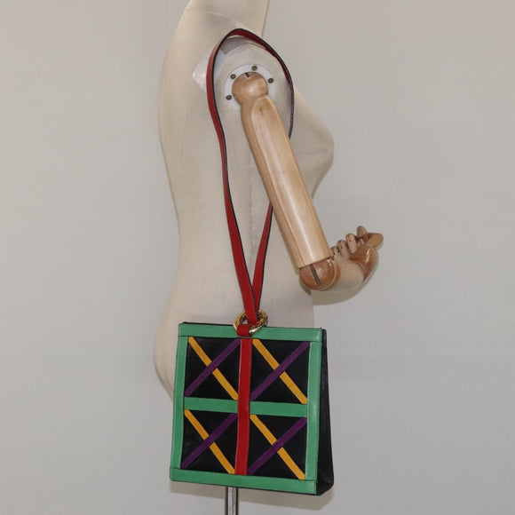 CELINE Shoulder Bag Leather Multicolor Auth 114456