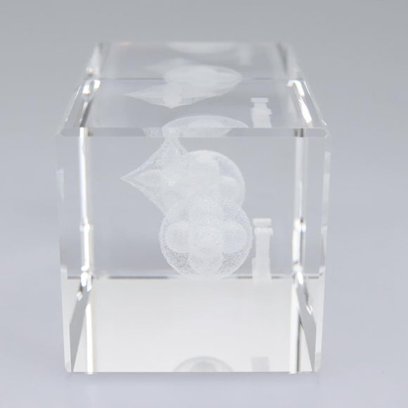LOUIS VUITTON Paper weight Clear LV Auth 114607SM