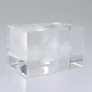 LOUIS VUITTON Paper weight Clear LV Auth 114607SM-8