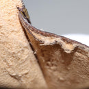 LOUIS VUITTON Monogram Etui Lunette Simple Glasses Case LV Auth 114639-12