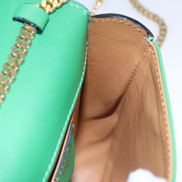 CELINE Shoulder Bag Leather Green Gold Auth 114967V