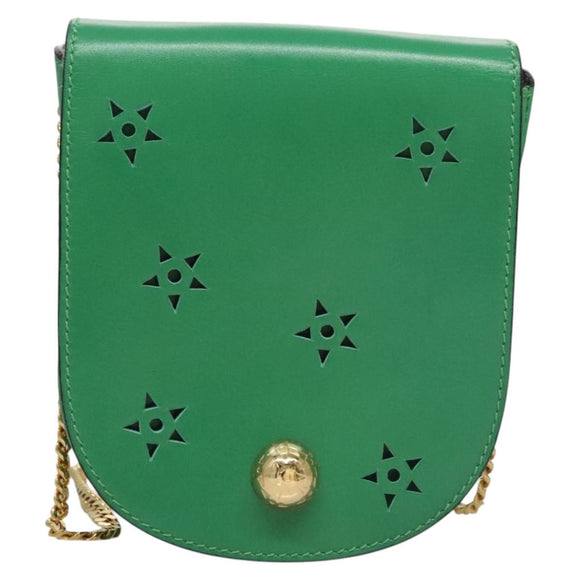 CELINE Shoulder Bag Leather Green Gold Auth 114967V