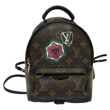 LOUIS VUITTON Monogram World Tour Palm Springs Shoulder Bag M42971 Auth 115814A - 0