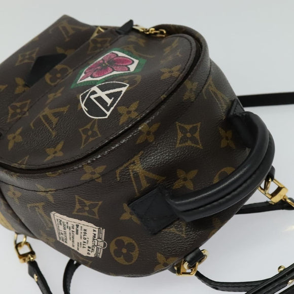 LOUIS VUITTON Monogram World Tour Palm Springs Shoulder Bag M42971 Auth 115814A