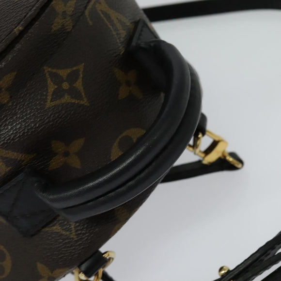 LOUIS VUITTON Monogram World Tour Palm Springs Shoulder Bag M42971 Auth 115814A