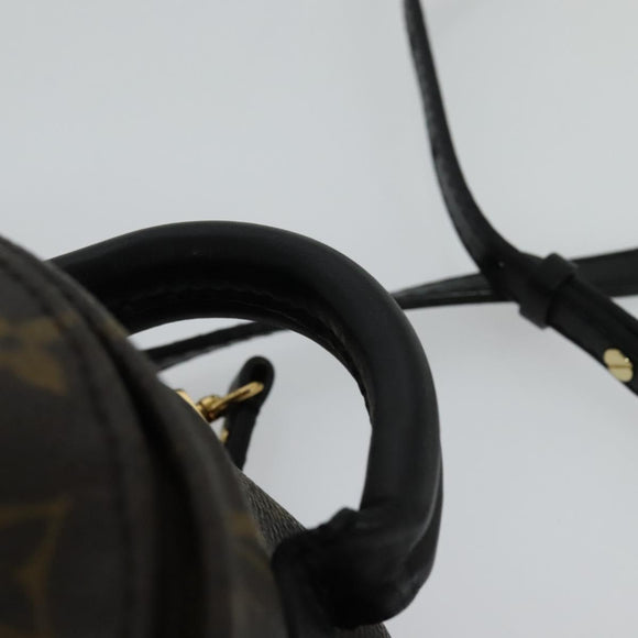 LOUIS VUITTON Monogram World Tour Palm Springs Shoulder Bag M42971 Auth 115814A