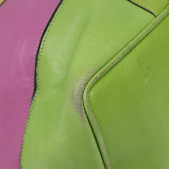 CELINE Shoulder Bag Leather Green Auth 115918