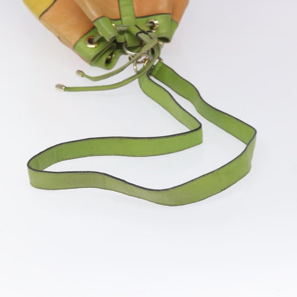 CELINE Shoulder Bag Leather Green Auth 115918