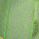 LOUIS VUITTON Monogram Graffiti Neverfull GM Tote Bag Green M93703 Auth 116016A-9