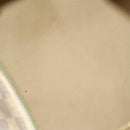 LOUIS VUITTON Damier Azur Speedy Bandouliere 30 Hand Bag 2way N41052 Auth 116527-11