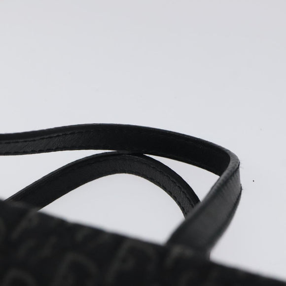 Christian Dior Trotter Canvas Hand Bag Black Silver Auth 117320M