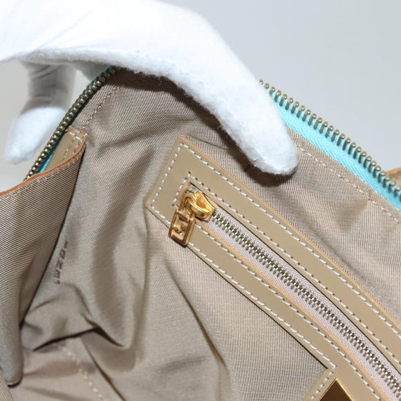 FENDI Zucchino Canvas Hand Bag Enamel Light Blue Gold Auth 117743