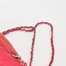 CHANEL Chain Backpack Nylon Pink Silver CC Auth 118138AM-10