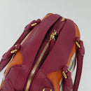 BURBERRY Nova Check Hand Bag Canvas 2way Beige Gold Auth 118645-6