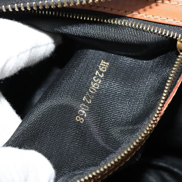 FENDI Pecan Canvas Hand Bag Brown Gold Auth 119578