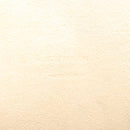 LOUIS VUITTON Monogram Pochette Florentine Waist bag M51855 LV Auth 119590AM-18