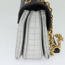 CELINE Chain Shoulder Bag Leather Silver Black gold Auth 120162-3