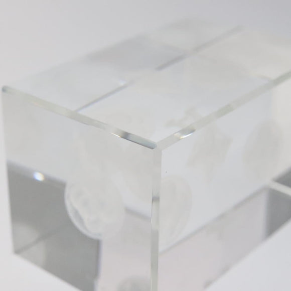 LOUIS VUITTON Paper Weight Glass Clear LV Auth 120233