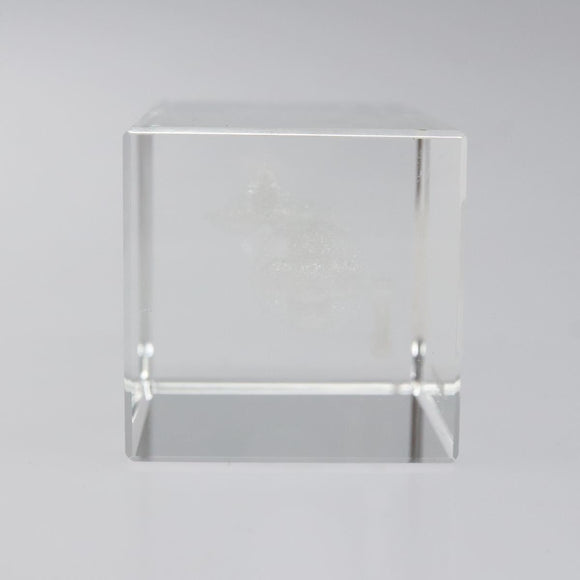 LOUIS VUITTON Paper Weight Glass Clear LV Auth 120233