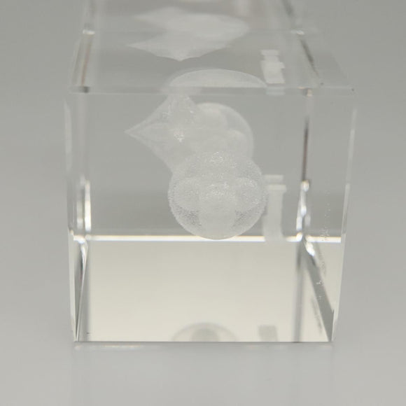 LOUIS VUITTON Paper Weight Glass Clear LV Auth 121487