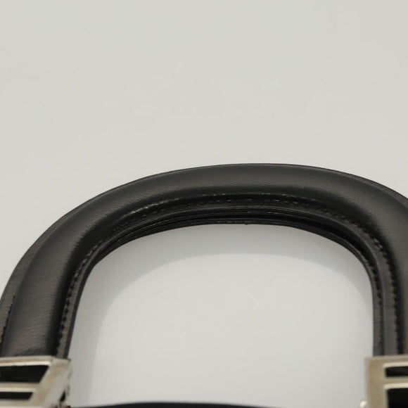 FENDI Hand Bag Nylon Black Silver Auth 122023