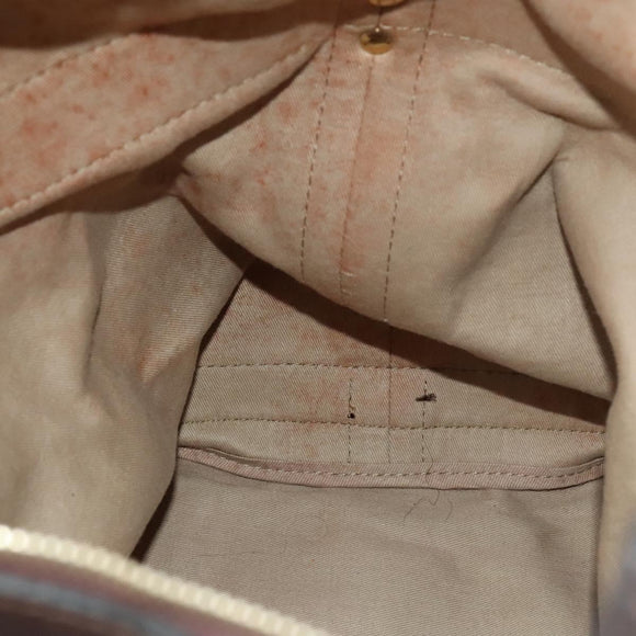 Christian Dior Trotter Canvas Shoulder Bag Brown Gold Auth 123655