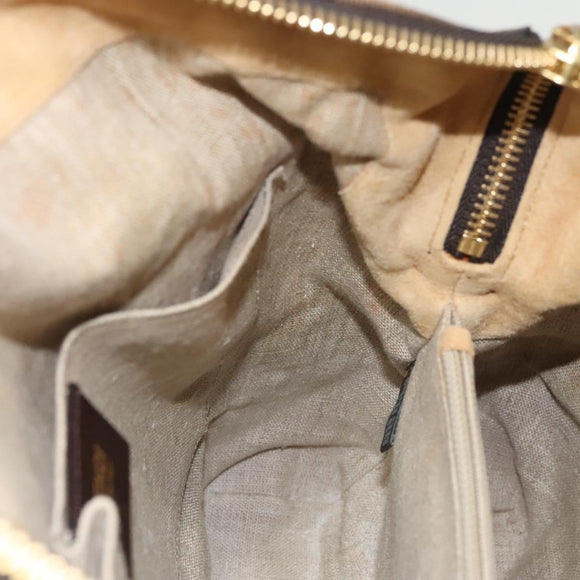 FENDI Pecan Canvas Hand Bag Brown Black Auth 124524