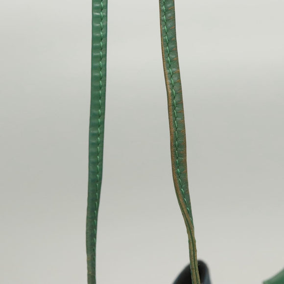 LOUIS VUITTON Epi Noe Shoulder Bag Bicolor Green Blue M44044 LV Auth 125216