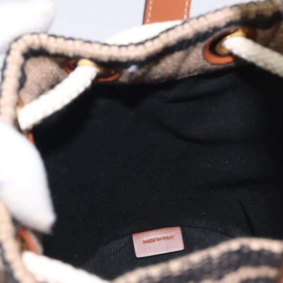 CELINE Shoulder Bag Raffia Beige Auth 125820M