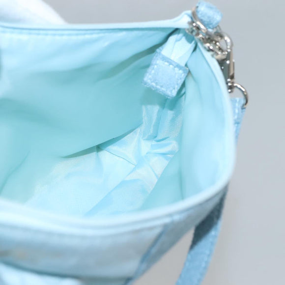 Salvatore Ferragamo Accessory Pouch Nylon Blue Silver Auth 126139