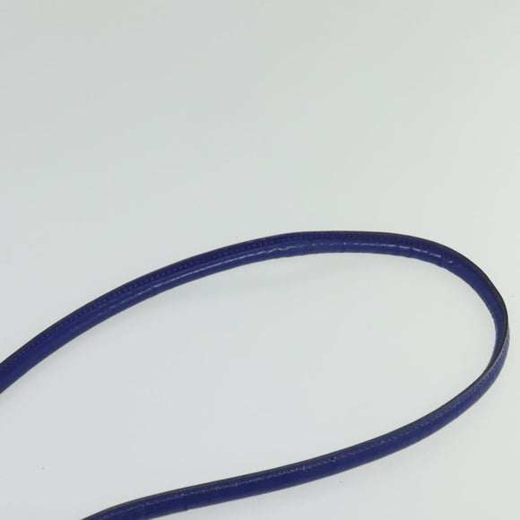 CELINE Shoulder Bag Leather Blue Silver Auth 126181