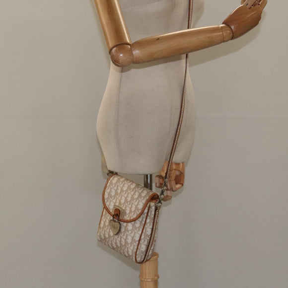 Christian Dior Trotter Canvas Romantic Bag PVC Beige Silver Auth 126372