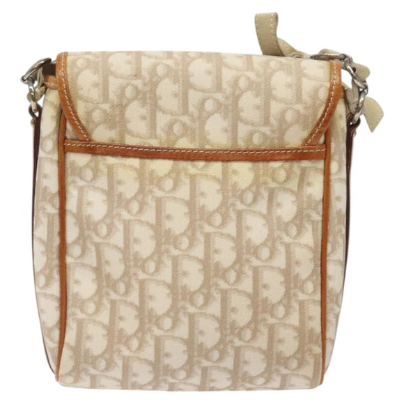 Christian Dior Trotter Canvas Romantic Bag PVC Beige Silver Auth 126372